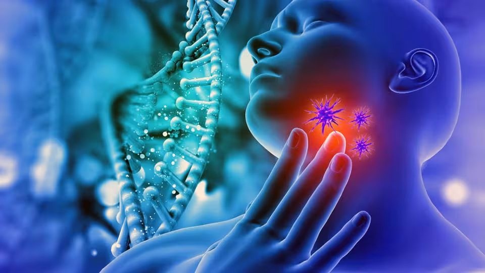 Тироидна жлезда – „Диригентот“ на вашиот метаболизам